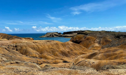 Savane-des-ptrifications