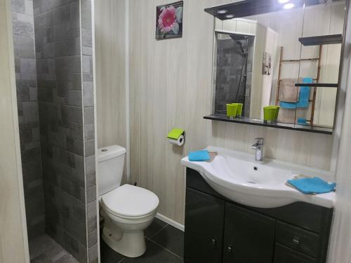salle-de-bain-t2-creole